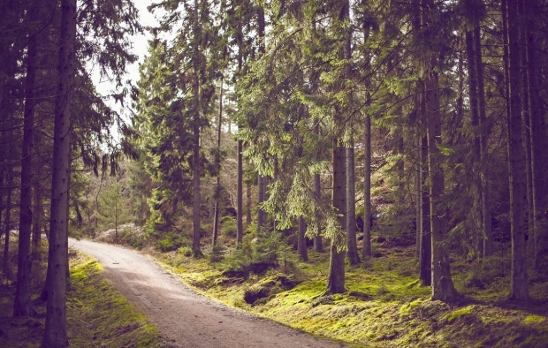  A ‘greener’ and healthier Britain 