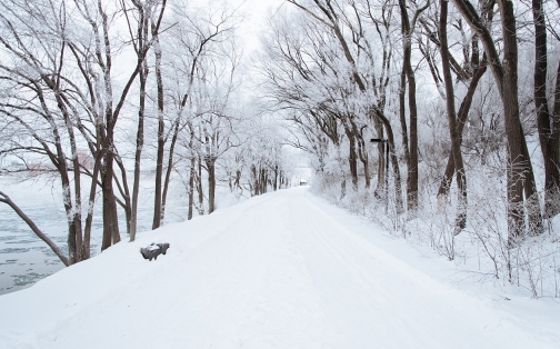 Motorists unprepared for bad weather